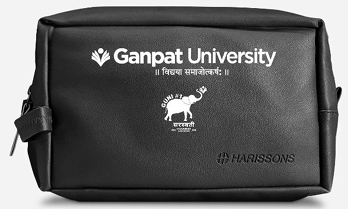 Harissons Leather Solo Pouch